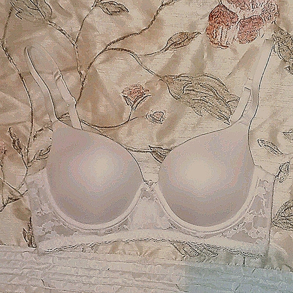 NWOT SO White w/ Lace/Some Padding 34B Bra